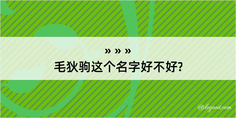 毛狄驹这个名字好不好?