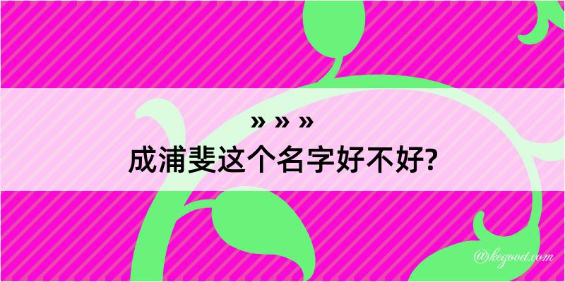 成浦斐这个名字好不好?