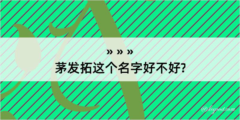 茅发拓这个名字好不好?