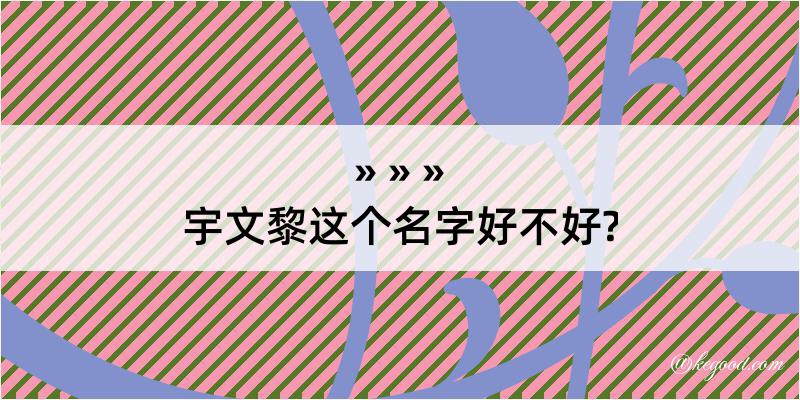 宇文黎这个名字好不好?