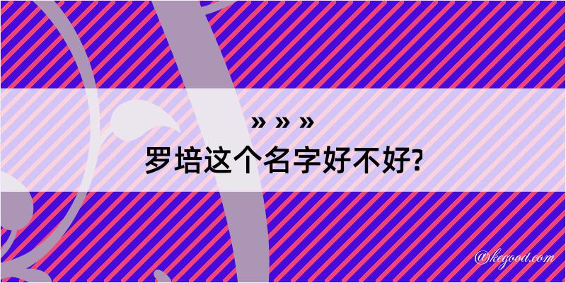 罗培这个名字好不好?