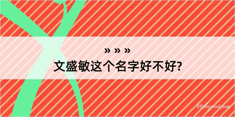 文盛敏这个名字好不好?