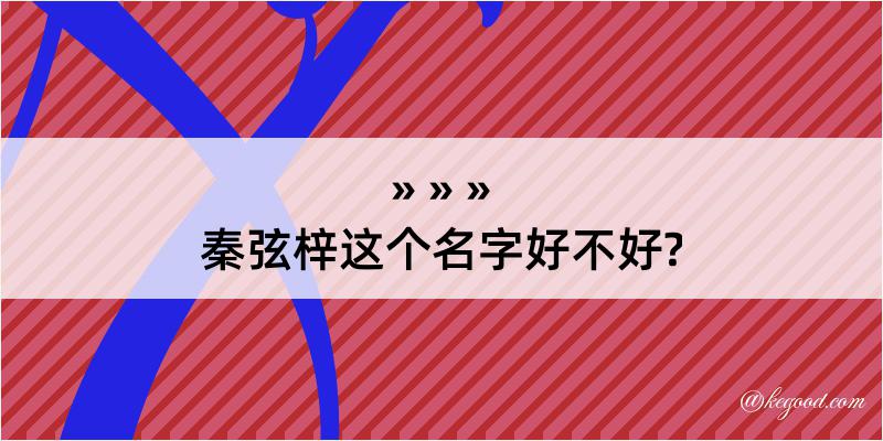 秦弦梓这个名字好不好?