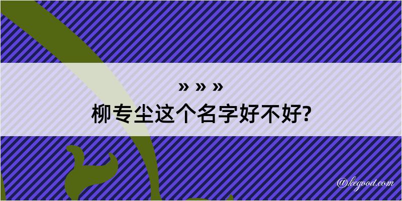 柳专尘这个名字好不好?