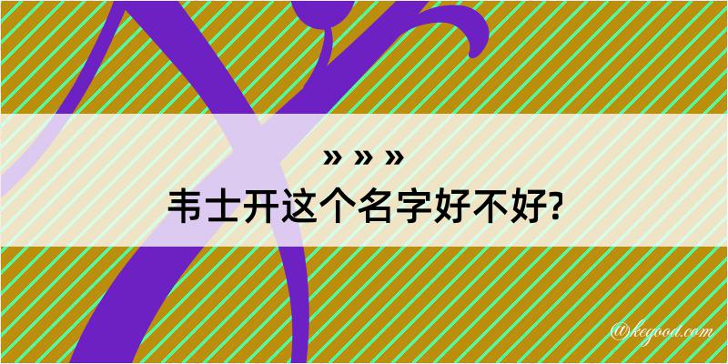 韦士开这个名字好不好?