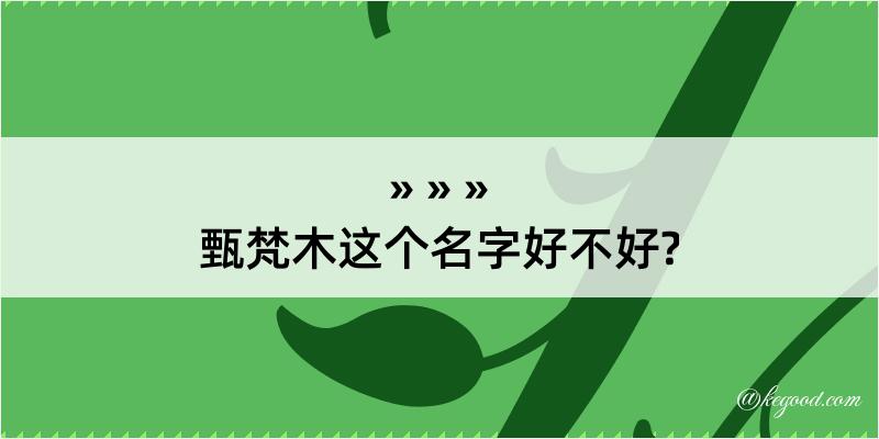 甄梵木这个名字好不好?