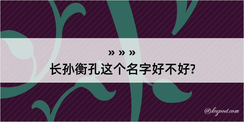 长孙衡孔这个名字好不好?