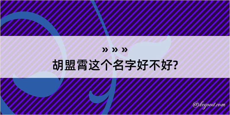 胡盟霄这个名字好不好?