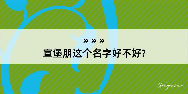 宣堡朋这个名字好不好?