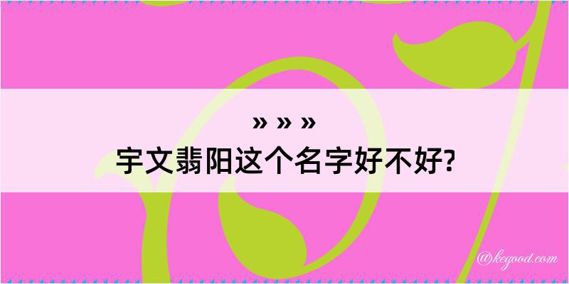 宇文翡阳这个名字好不好?