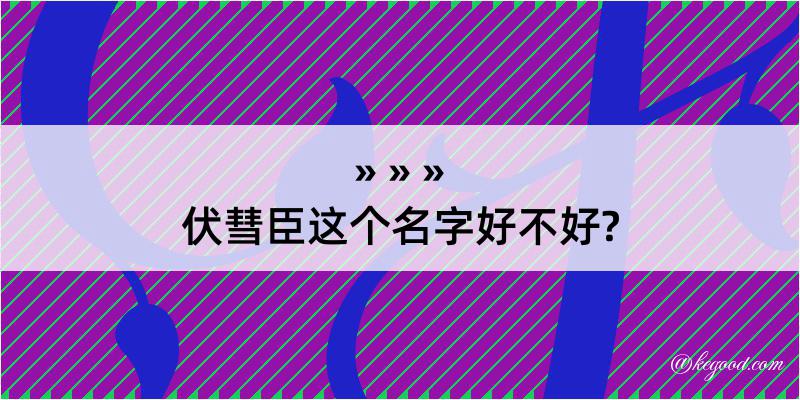 伏彗臣这个名字好不好?