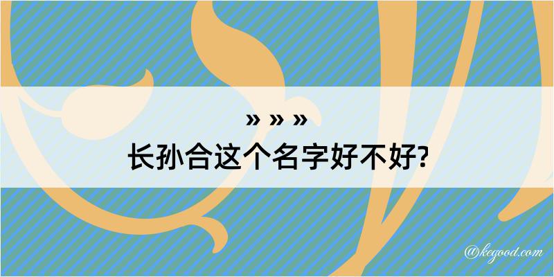 长孙合这个名字好不好?