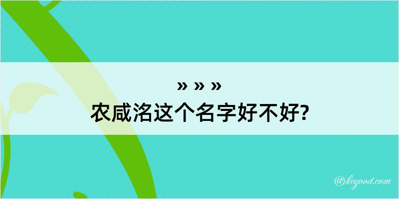 农咸洺这个名字好不好?