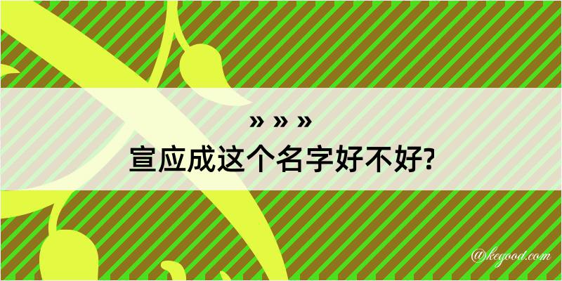 宣应成这个名字好不好?