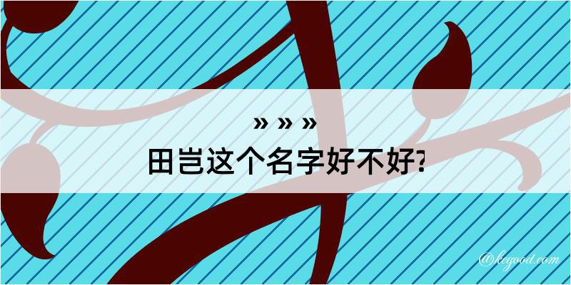 田岂这个名字好不好?