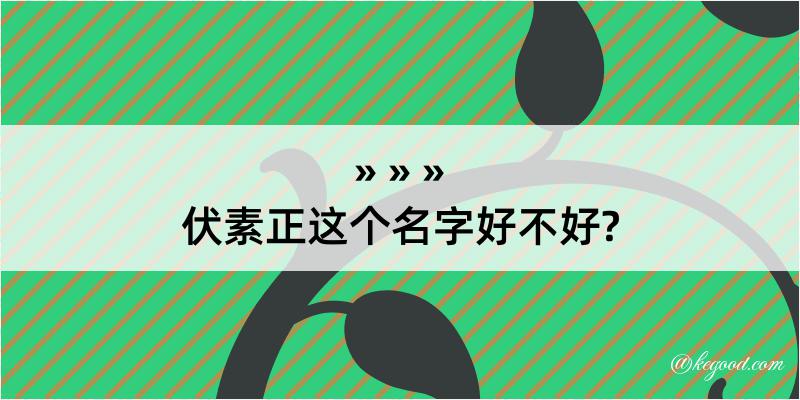 伏素正这个名字好不好?