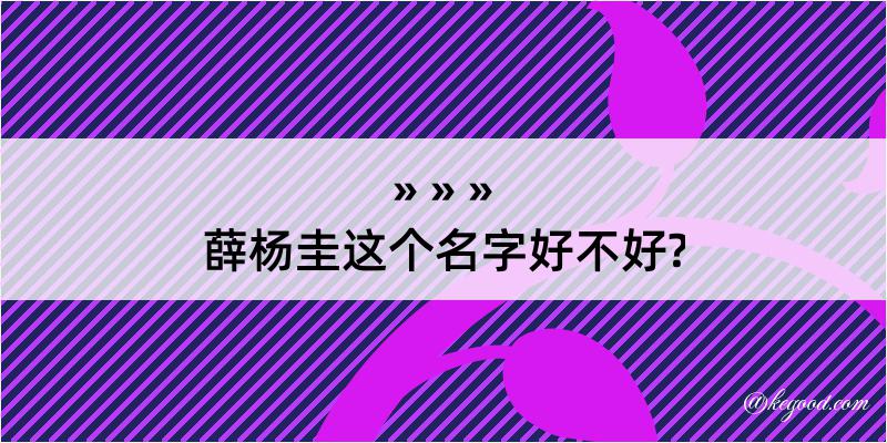 薛杨圭这个名字好不好?