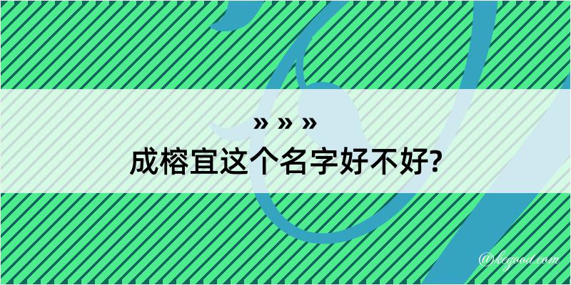 成榕宜这个名字好不好?