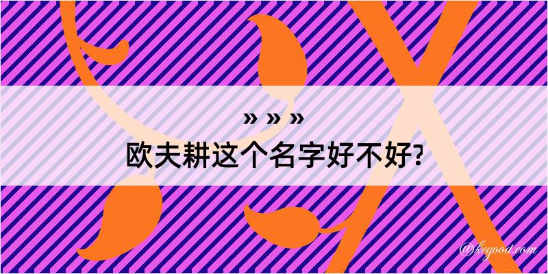 欧夫耕这个名字好不好?