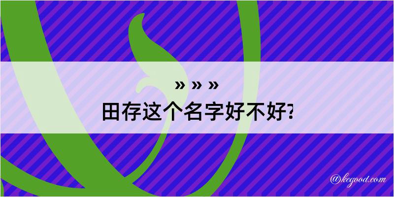 田存这个名字好不好?