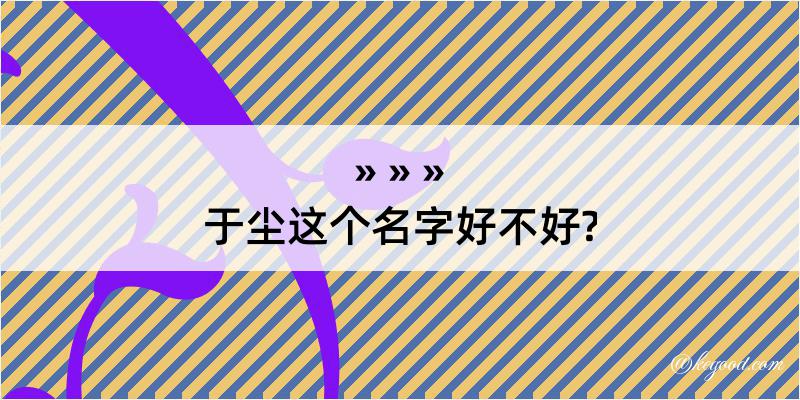 于尘这个名字好不好?