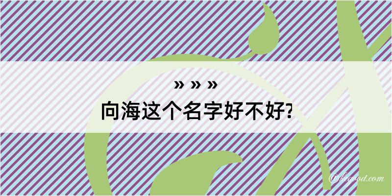 向海这个名字好不好?