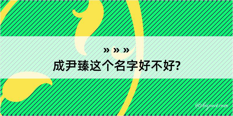 成尹臻这个名字好不好?