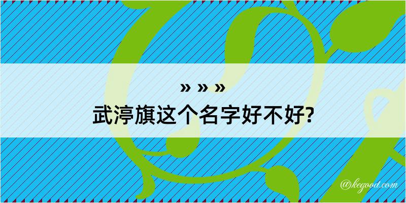 武渟旗这个名字好不好?