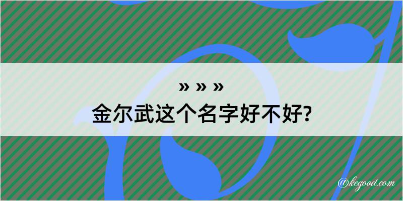 金尔武这个名字好不好?