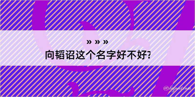 向韬诏这个名字好不好?