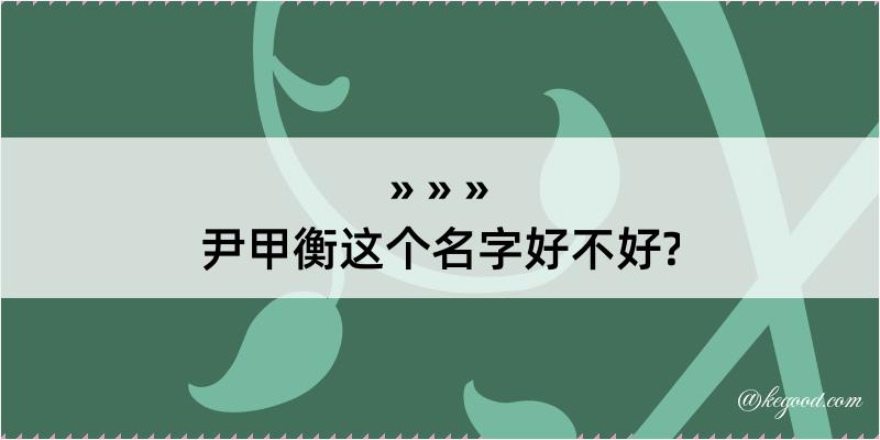 尹甲衡这个名字好不好?