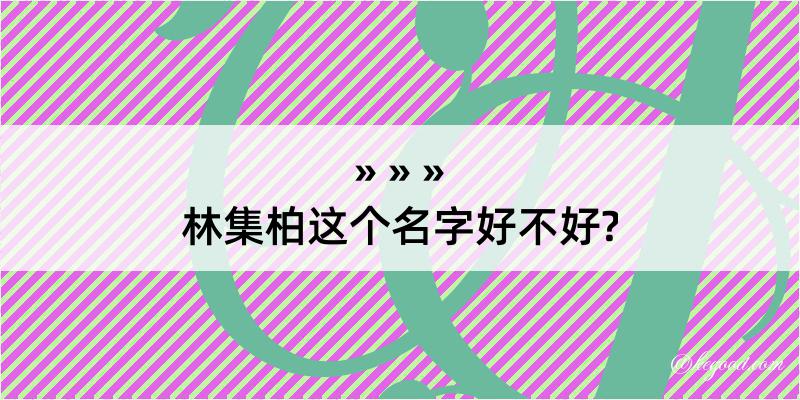 林集柏这个名字好不好?