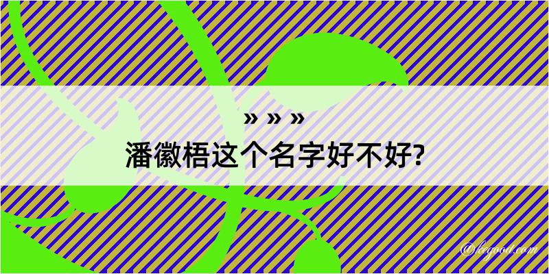 潘徽梧这个名字好不好?