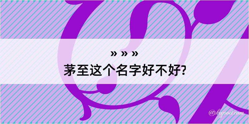 茅至这个名字好不好?