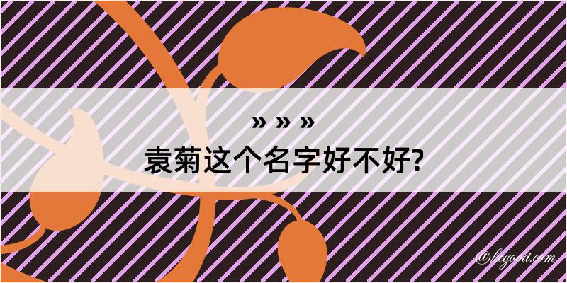 袁菊这个名字好不好?