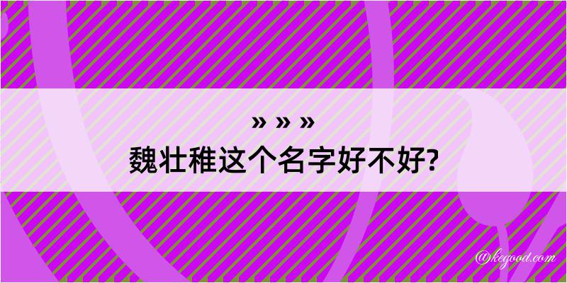 魏壮稚这个名字好不好?