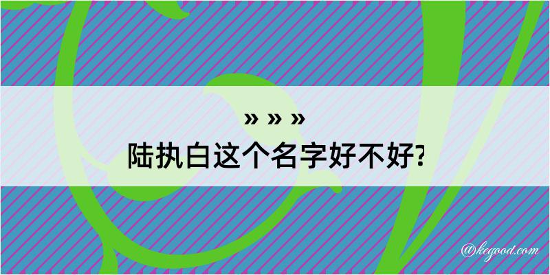 陆执白这个名字好不好?