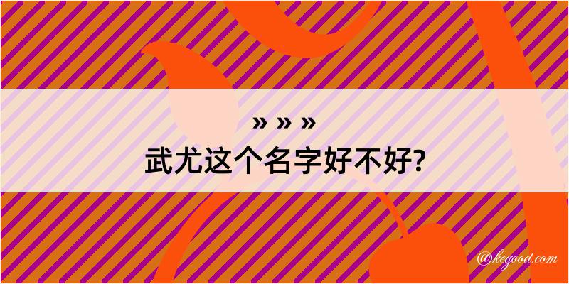 武尤这个名字好不好?