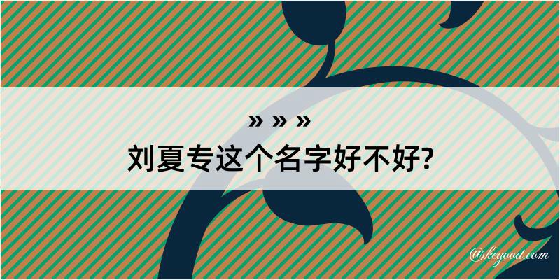 刘夏专这个名字好不好?