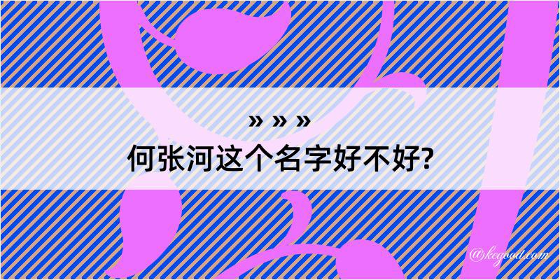 何张河这个名字好不好?