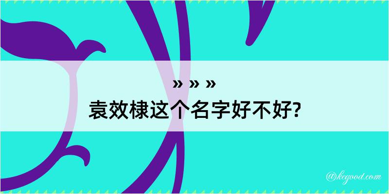 袁效棣这个名字好不好?