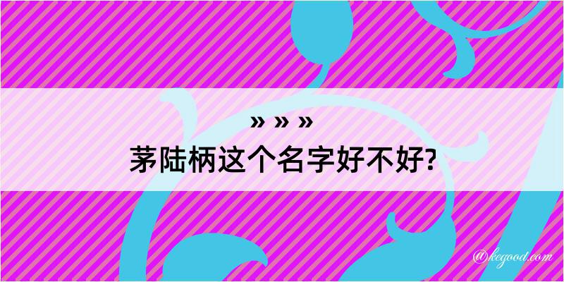 茅陆柄这个名字好不好?