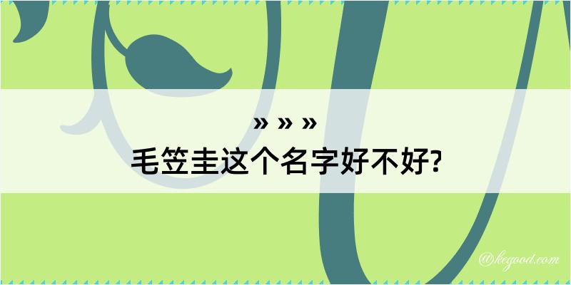 毛笠圭这个名字好不好?