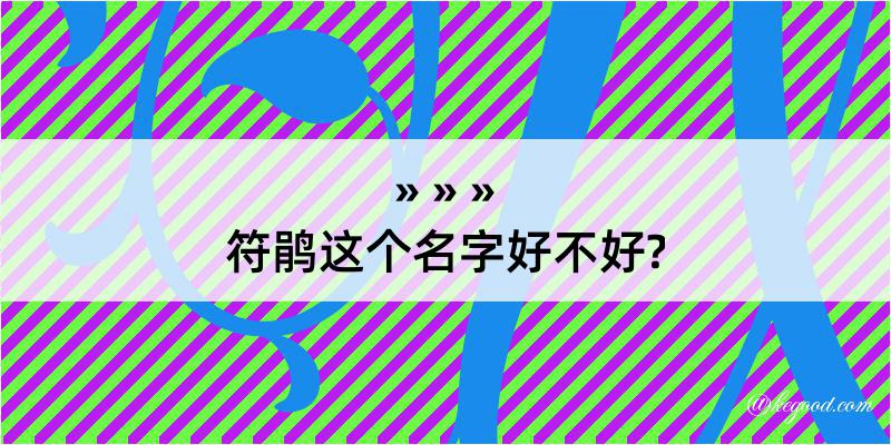 符鹃这个名字好不好?