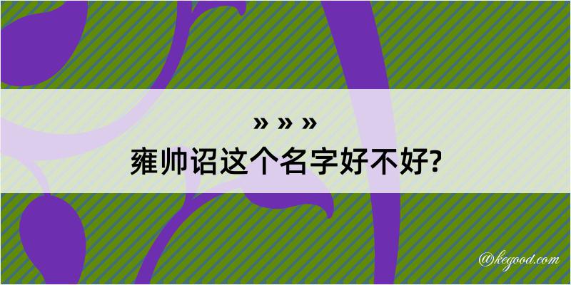 雍帅诏这个名字好不好?