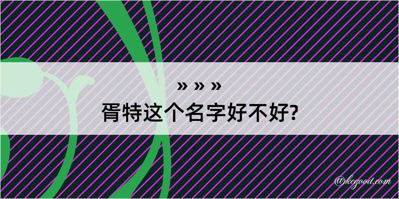 胥特这个名字好不好?