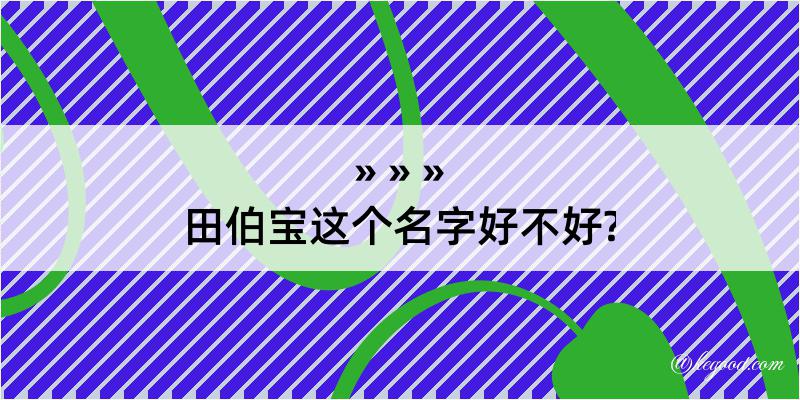 田伯宝这个名字好不好?