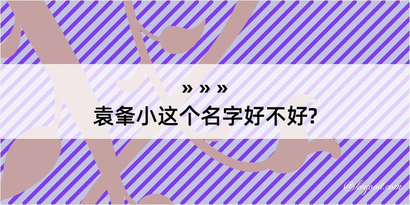 袁夆小这个名字好不好?