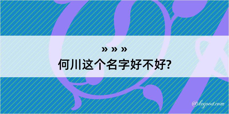 何川这个名字好不好?