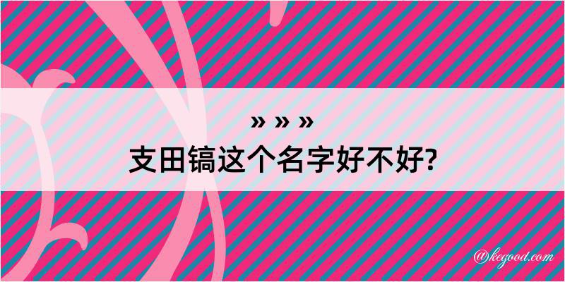 支田镐这个名字好不好?